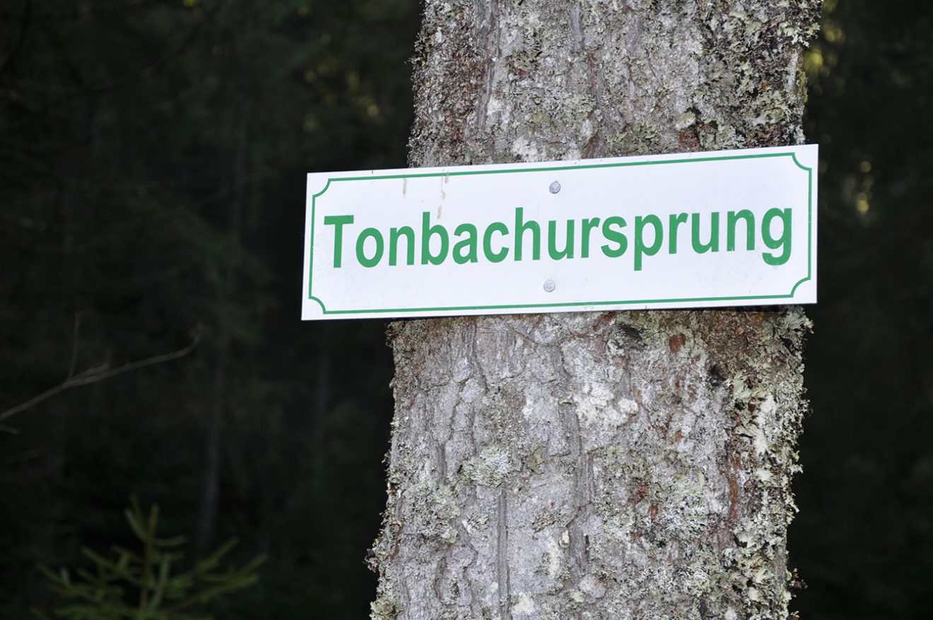 Nationalpark Schwarzwald Magazin Online, Tonbachtal, Neubau Rangerstation