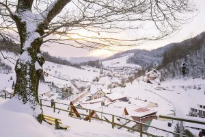 Nationalpark Schwarzwald Magazin Online, Winterwandertour rund um Bad Peterstal Griesbach im Renchtal, Winter-Idylle