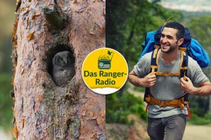 Nationalpark Schwarzwald Magazin, Ranger-Radio, neue welle: Trekking im Schwarzwald und gefährdete Arten, Rote Liste