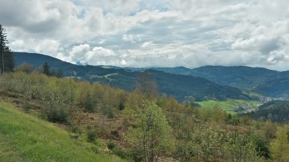 Nationalpark Schwarzwald Magazin, Bild des Tages: Blick von B55 auf Seebach, 4. Mai 2017
