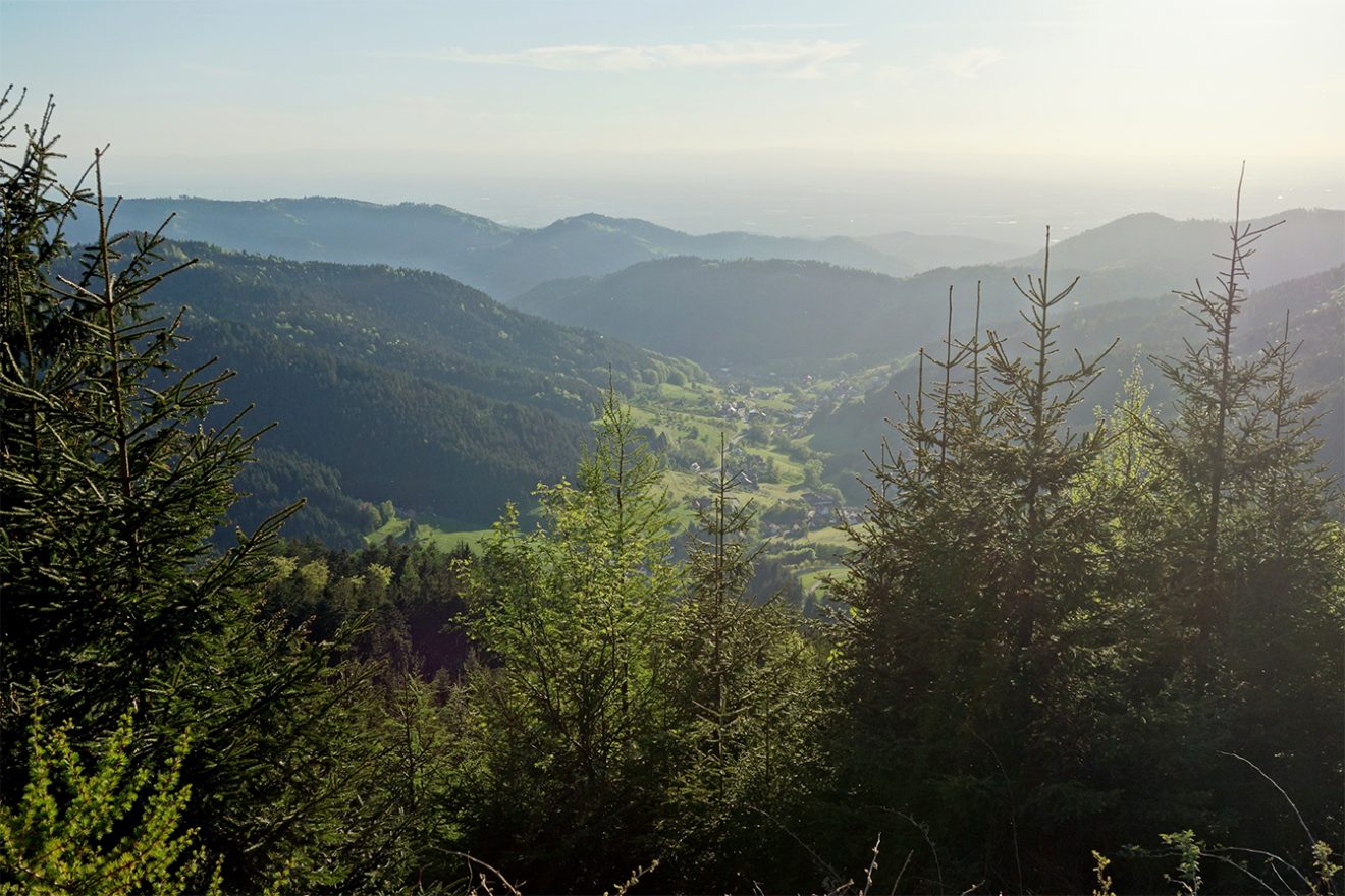 Nationalpark Schwarzwald Magazin, Bild des Tages, Blick auf Seebach am 18. Mai 2017