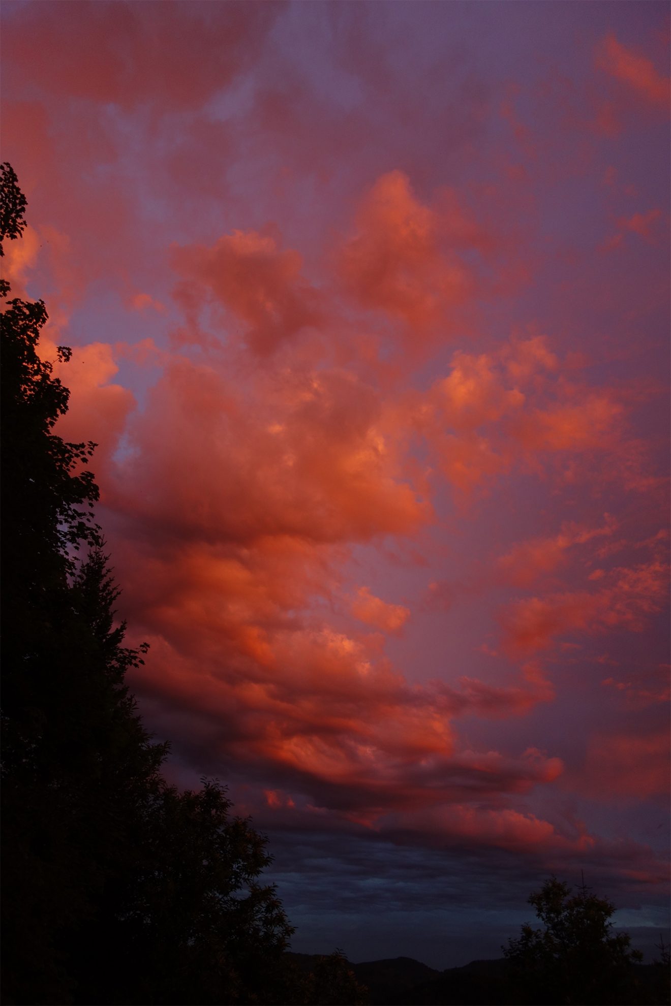Nationalpark Schwarzwald Magazin, Bild des Tages, Sonnenuntergang mit Gewitterwolken am 26. Juni 2017
