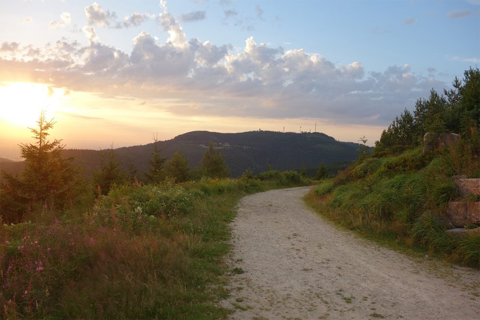 Nationalpark Schwarzwald Magazin, Bild des Tages,Wandern ins Abendlicht am 22. Juli 2017