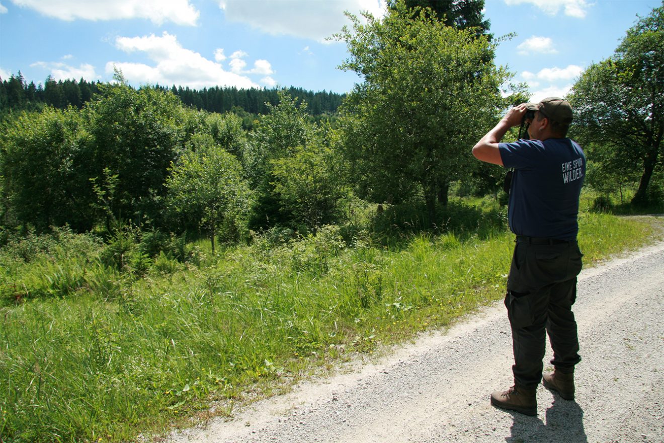 Nationalpark Schwarzwald Magazin, Borkenkäfermanagement, Wald-Gesundheitscheck aus der Ferne, Bild: Franziska Schick
