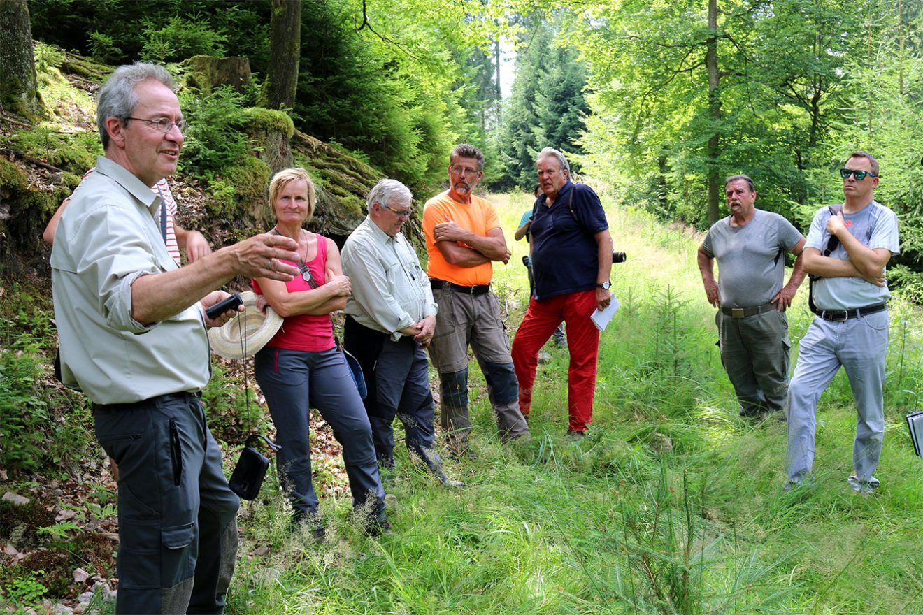 Nationalpark Schwarzwald Magazin, Führung zum Borkenkäfermanagement im Schönmünztal, Bild: Thomas Dobrzewski