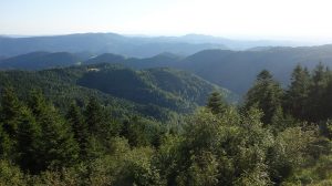 Nationalpark Schwarzwald Magazin, Bild des Tages, Panoramablick am 10. August 2017