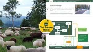 Nationalpark Schwarzwald Magazin, neue welle, Ranger-Radio: Verkehrskonzept online, besucherstarker Nordschwarzwald und Führung zu Wölfen und Schafen
