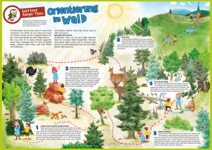 Nationalpark Schwarzwald Magazin, Ausgabe 06, Karli Kauz Ranger-Tipps: Orientierung im Wald (Illustration: Isa Göntgen)