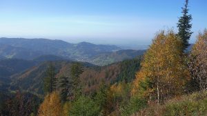 Nationalpark Schwarzwald Magazin, Bild der Woche, goldener Oktober am 17. Oktober 2017